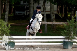 CFCC 2017 00274