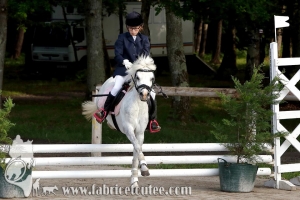CFCC 2017 00275