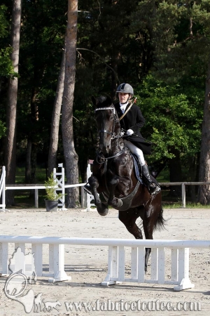 CFCC 2017 00310