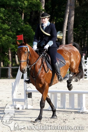 CFCC 2017 00321