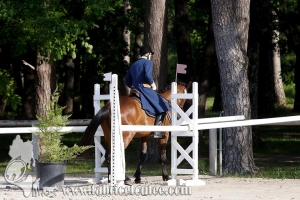 CFCC 2017 00355