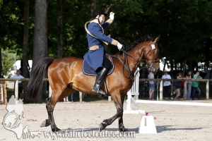 CFCC 2017 00366