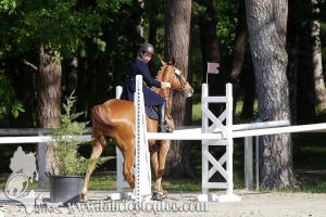 CFCC 2017 00420