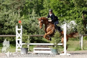 CFCC 2017 00429