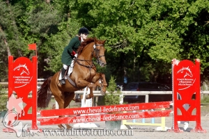 CFCC 2017 00438