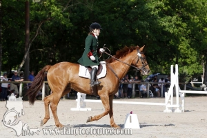 CFCC 2017 00445