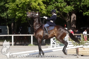 CFCC 2017 00454