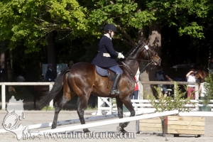 CFCC 2017 00455