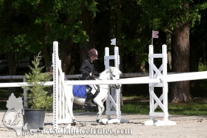 CFCC 2017 00480