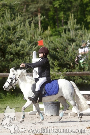 CFCC 2017 00490