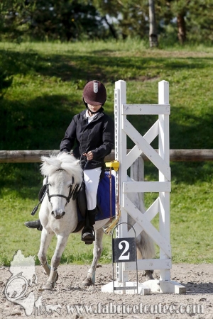 CFCC 2017 00491