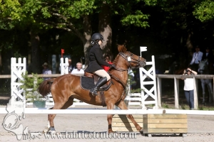 CFCC 2017 00521