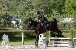 CFCC 2017 00556