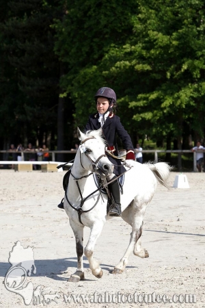 CFCC 2017 00564