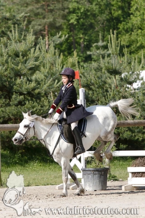 CFCC 2017 00577