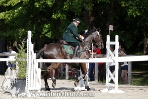CFCC 2017 00586