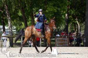 CFCC 2017 00628
