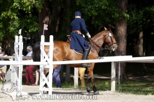 CFCC 2017 00660