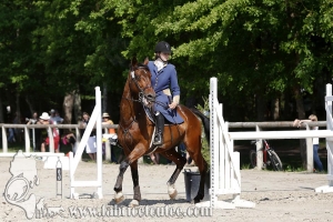CFCC 2017 00679