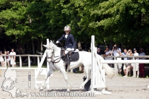 CFCC 2017 00731
