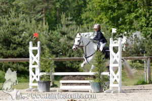 CFCC 2017 00736