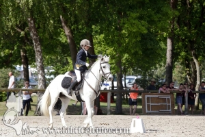 CFCC 2017 00739