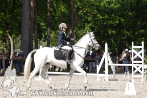 CFCC 2017 00740