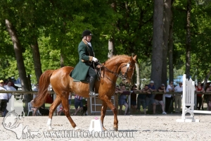 CFCC 2017 00755