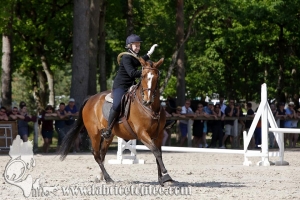 CFCC 2017 00772