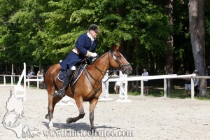 CFCC 2017 00779