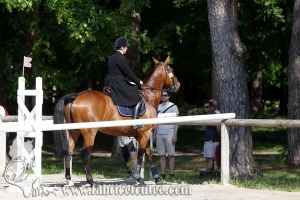 CFCC 2017 00796