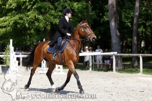 CFCC 2017 00798