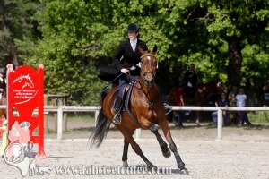 CFCC 2017 00805