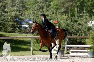 CFCC 2017 00809