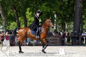 CFCC 2017 00810