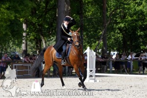 CFCC 2017 00811