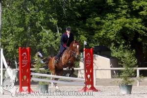 CFCC 2017 00817