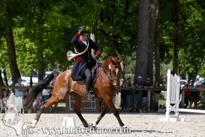 CFCC 2017 00824