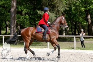 CFCC 2017 00832