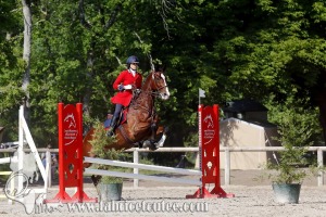 CFCC 2017 00833