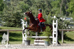 CFCC 2017 00839