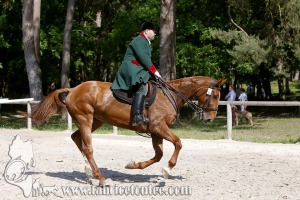 CFCC 2017 00847