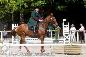 CFCC 2017 00853