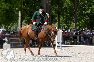 CFCC 2017 00856