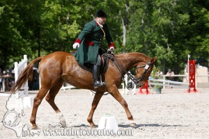 CFCC 2017 00858