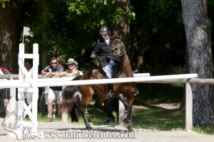 CFCC 2017 00861
