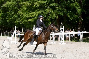 CFCC 2017 00863
