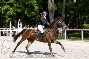 CFCC 2017 00864