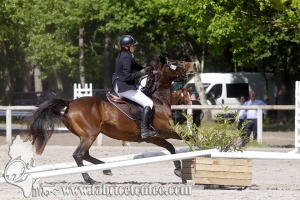 CFCC 2017 00869