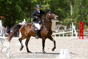 CFCC 2017 00873